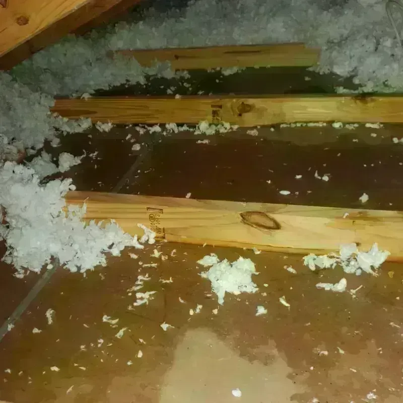 Attic Water Damage in Castine, ME